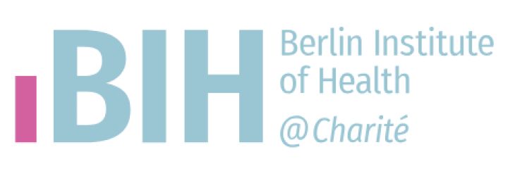 Logo Bih