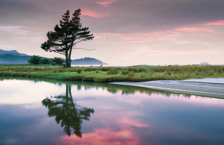 Natur: Jim Witkowski via Unsplash
